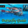 Improve your Butterfly swimming (5 Stages) technique for beginners
