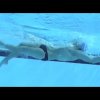 8 Great Backstroke Arm Drills