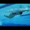 How To Swim Butterfly |  Top Tips with Olympic Swimmer Stephanie Rice