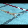 Breaststroke Overview from Indiana's Ray Looze!