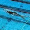 Backstroke