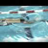 Swim a Faster Butterfly with the Underwater Dolphin Kick