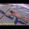 Freestyle - Building the Stroke