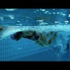 swimming motivation : train hard or go home - butterfly