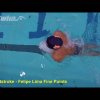 Breaststroke - Felipe Lima Fine Points