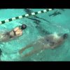 Potomac Marlins Stroke Workshop Butterfly Stroke Drills Video