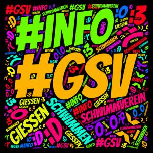gsv info(1)