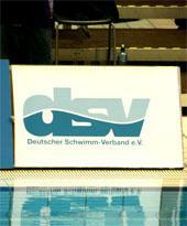 dsv3